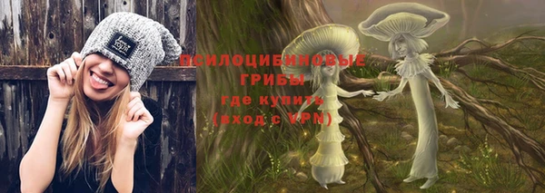 амф Зерноград