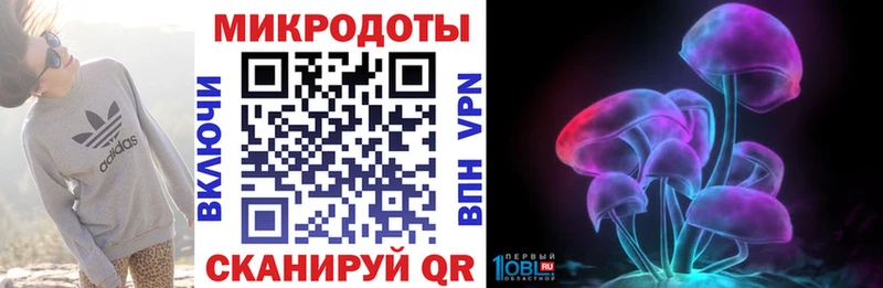 Купить закладки  Элиста  Псилоцибиновые грибы Psilocybine cubensis 