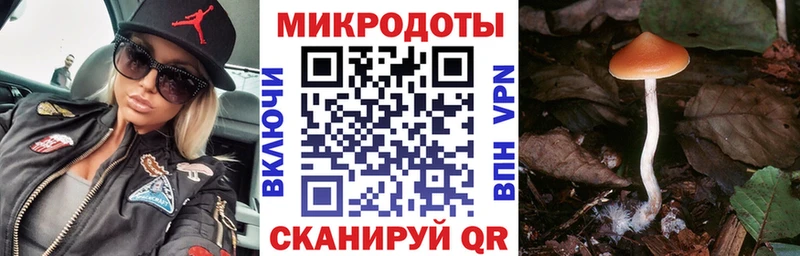 Псилоцибиновые грибы ЛСД Элиста